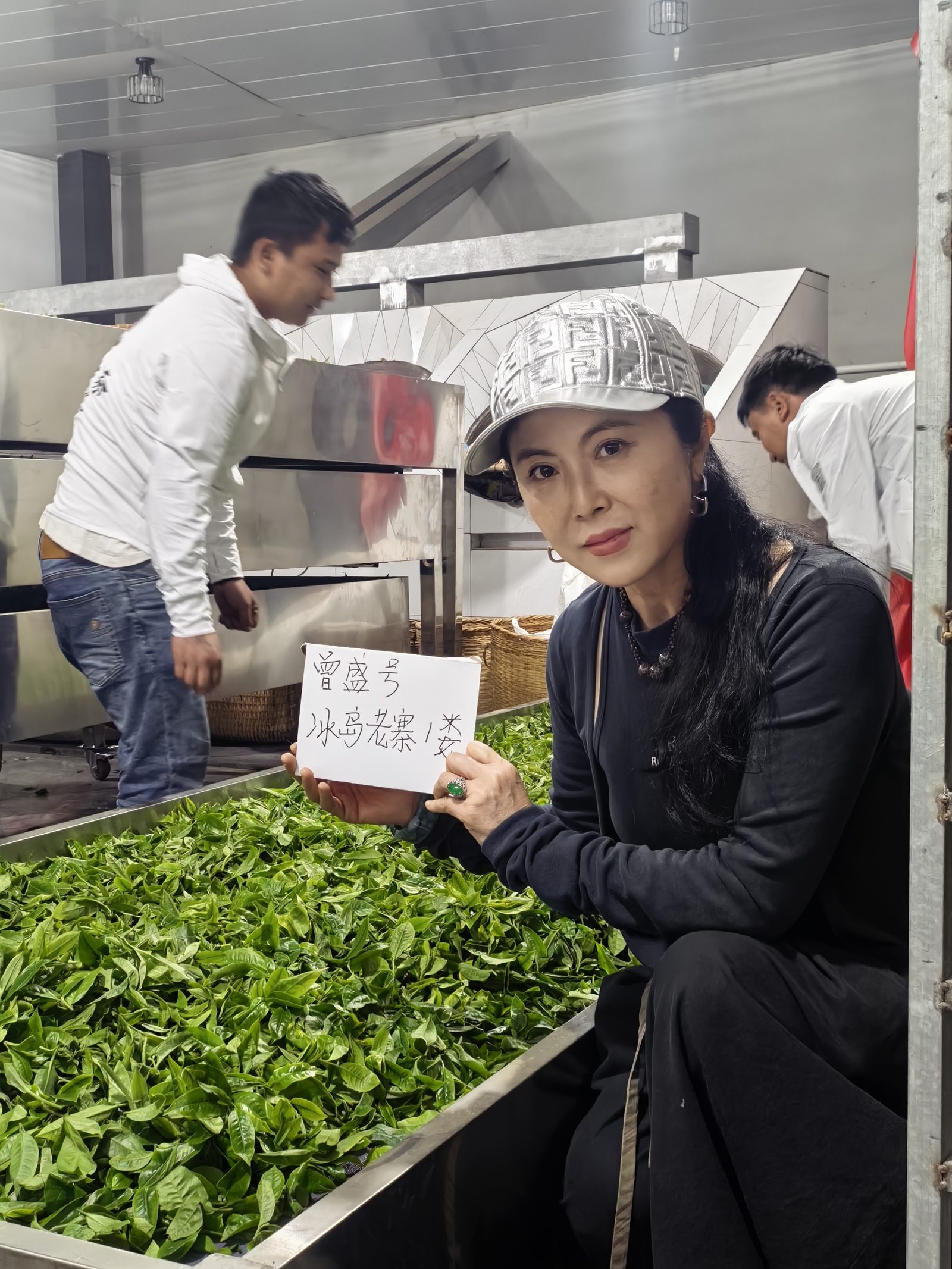 曾丹丹在古茶树前